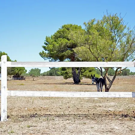 Masseria Pepe